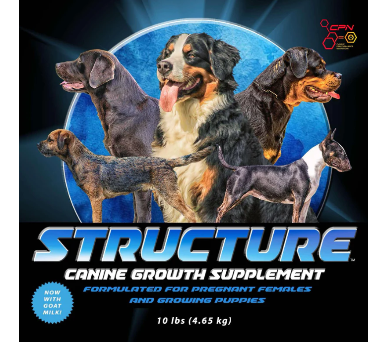Best Prenatal Vitamins & Omega 3 for Dogs Growth | K9 Performance ...
