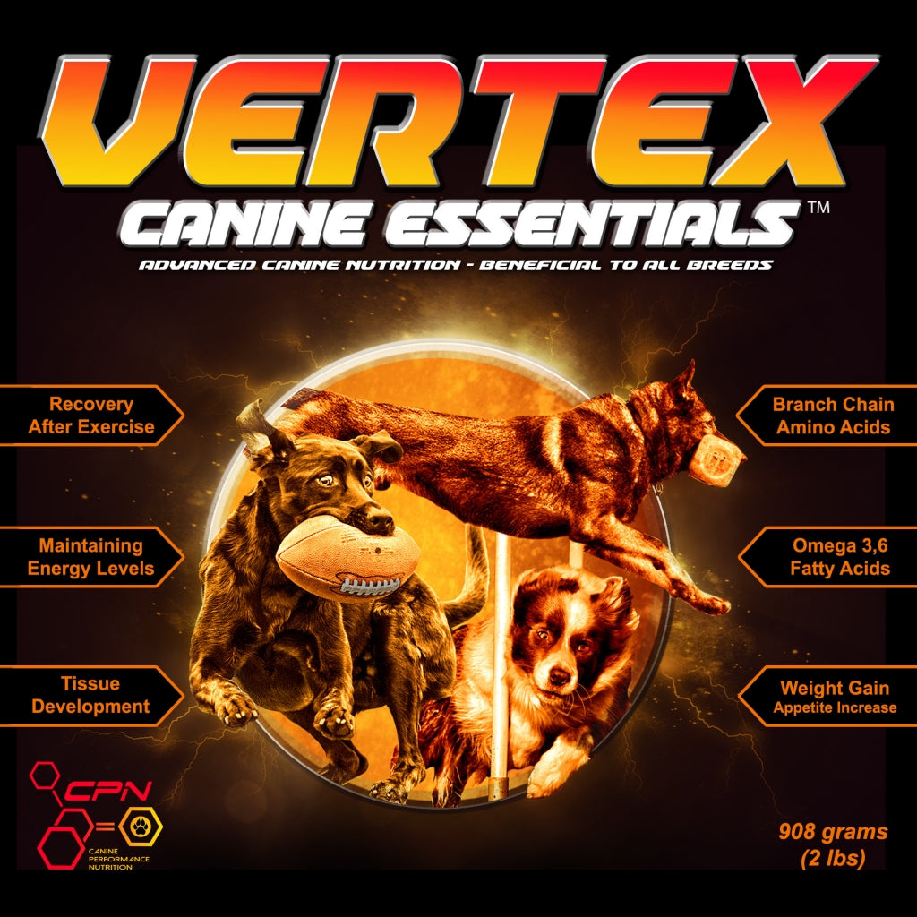 VERTEX