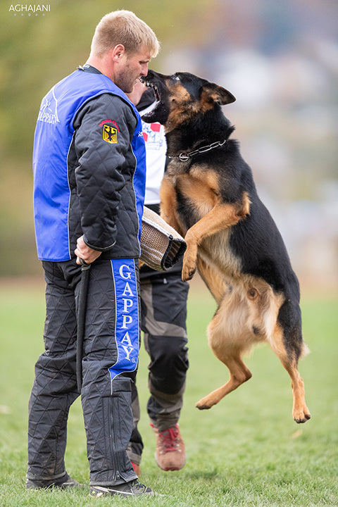 Canine Performance Nutrition
