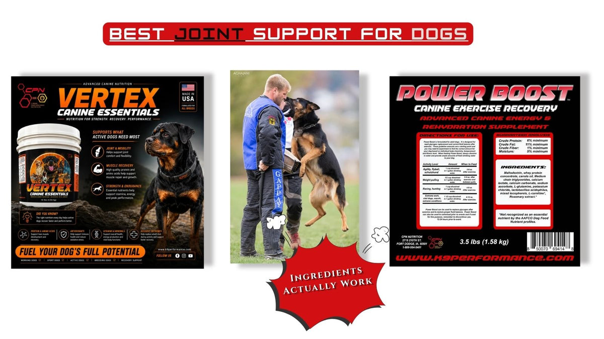 Best Joint Support for Dogs: What Ingredients Actually Work?