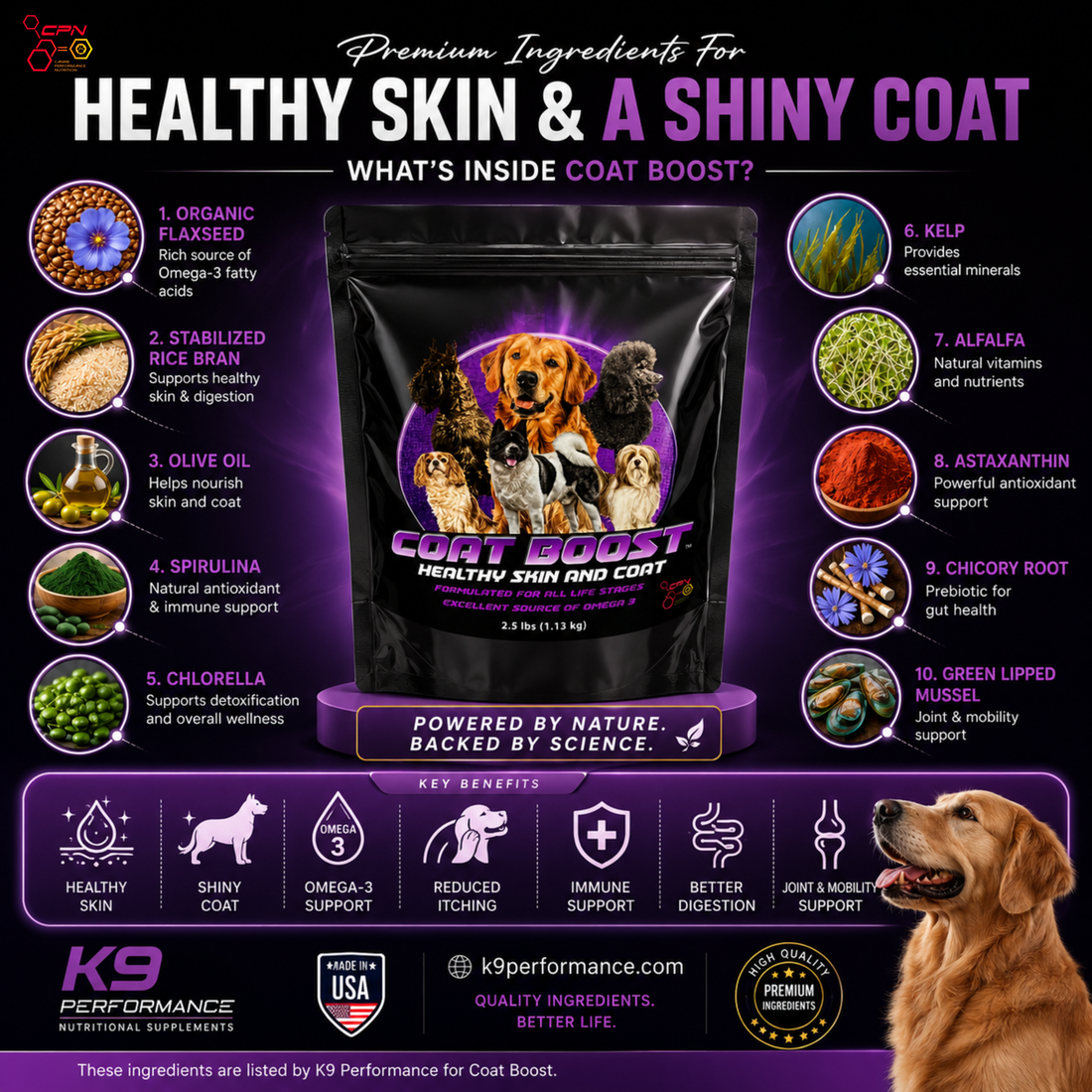 Best Skin Supplements for Dogs: Why Coat Boost Stands Out in 2026