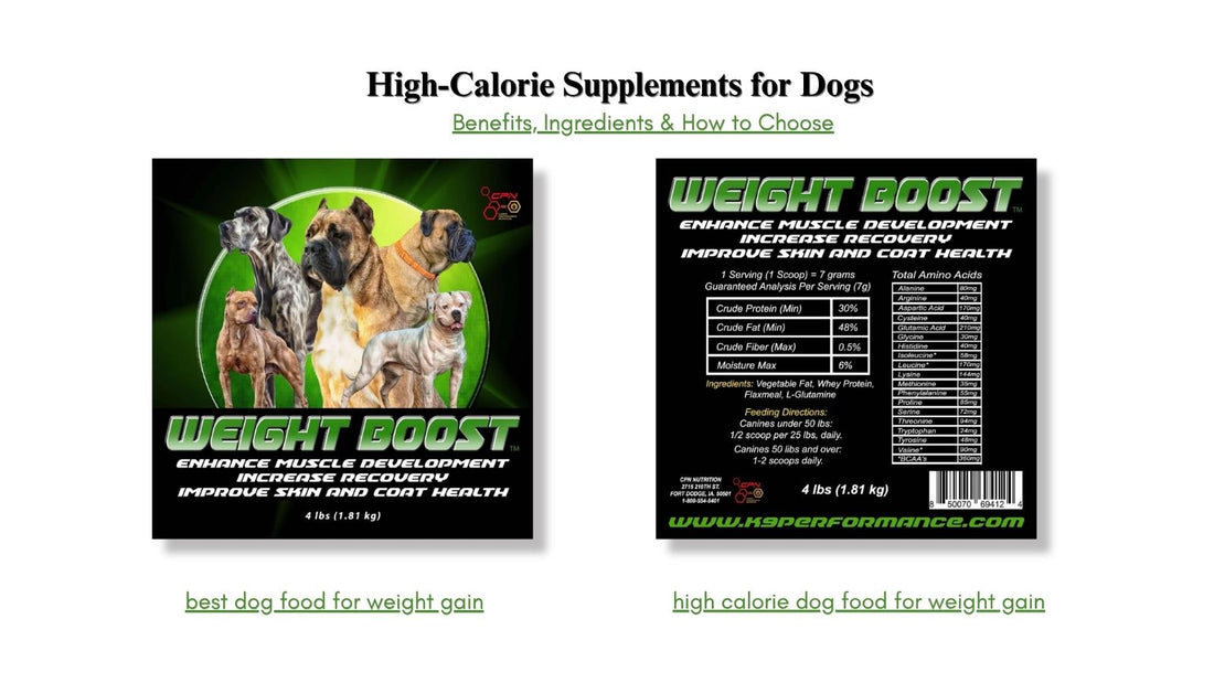 High-Calorie Supplements for Dogs | best dog food for weight gain