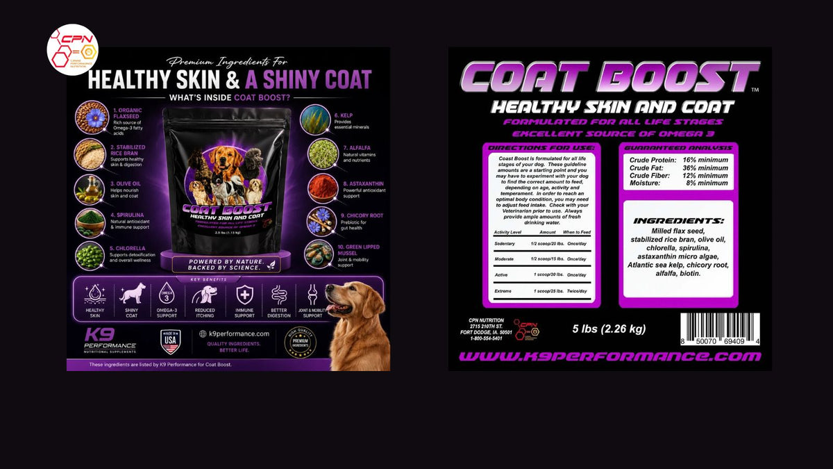 Omega 3 supplement for dogs