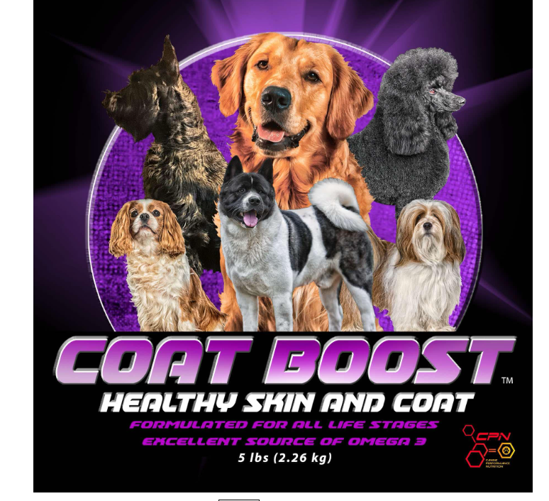 Skin and Coat Supplements 