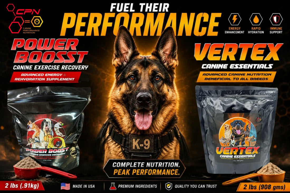 Why Elite Dogs Hit the Wall (And the Hidden Chemistry That Keeps Them Explosive)