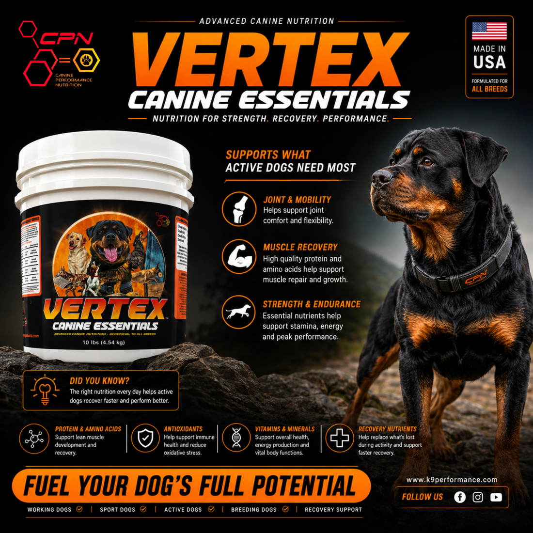 Dynamic Joint Support for your Canine Athlete
