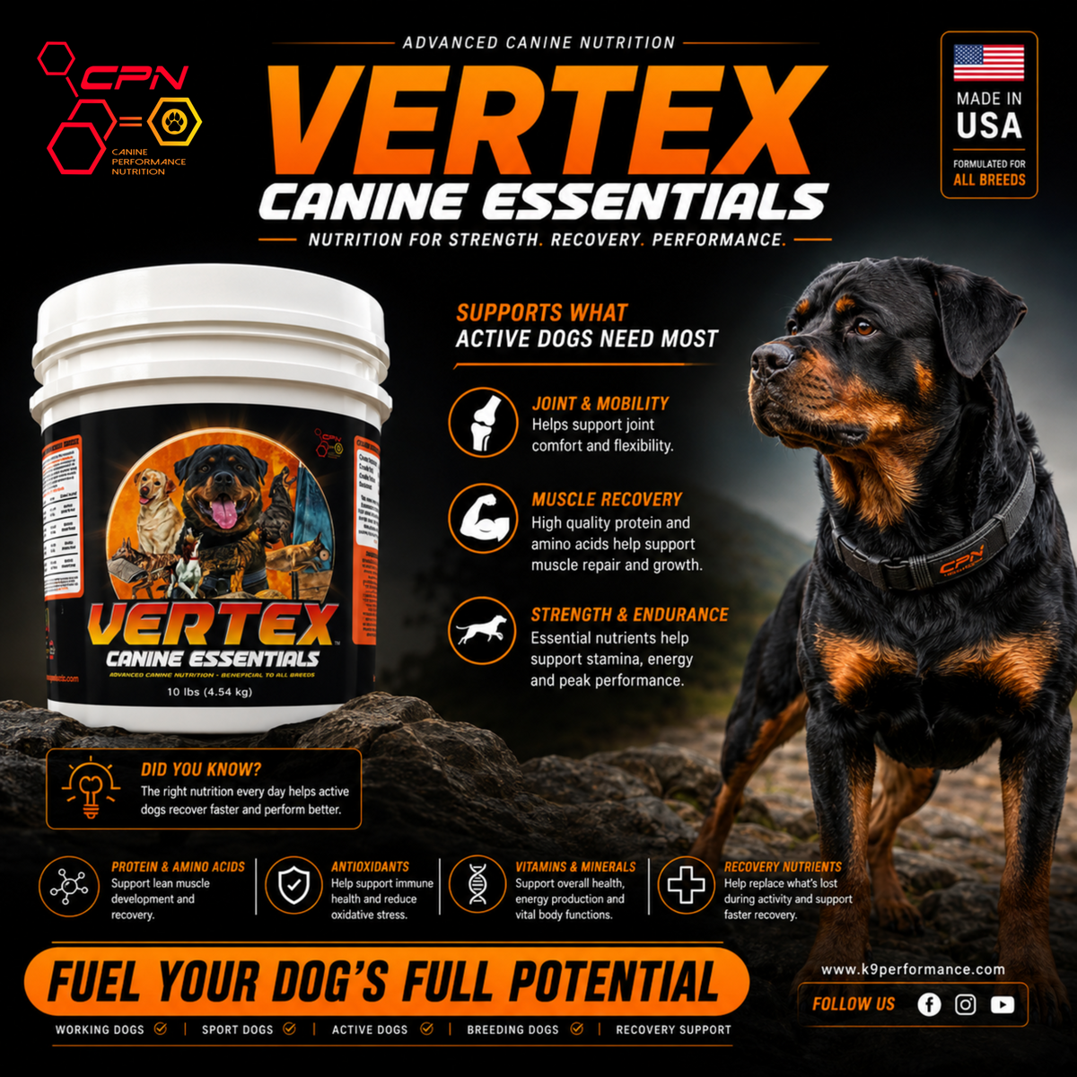 Dynamic Joint Support for your Canine Athlete