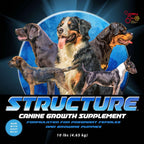 STRUCTURE