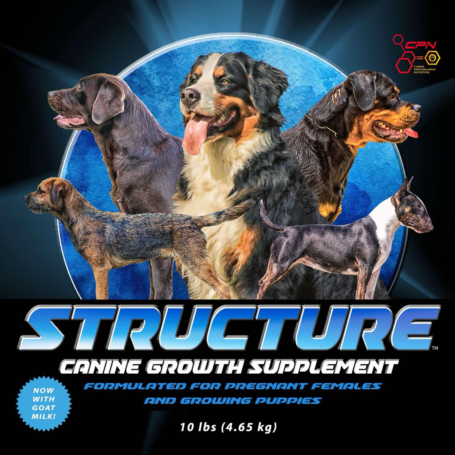 STRUCTURE- Prenatal Vitamins for Dogs
