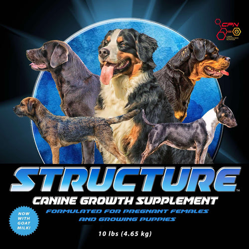 STRUCTURE